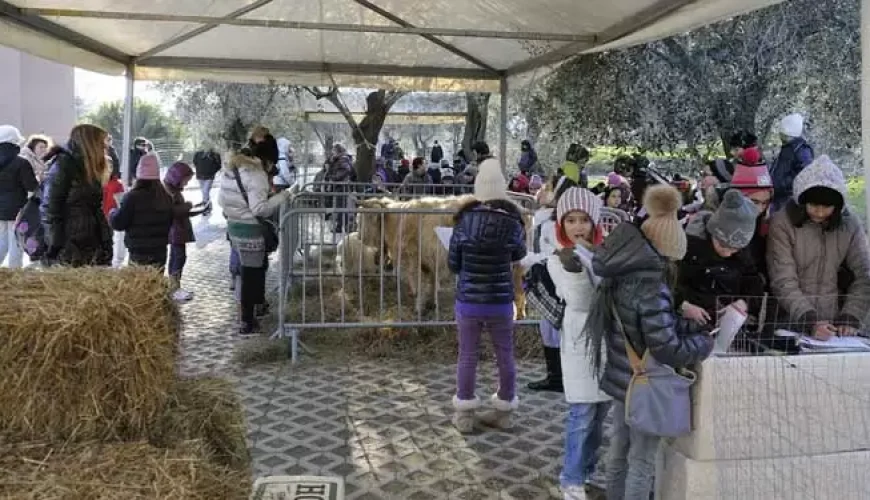 Fiera della Candelora a Martano