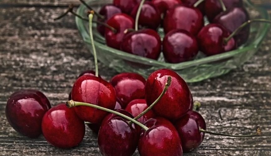 Sagra delle ciliegie a Leverano