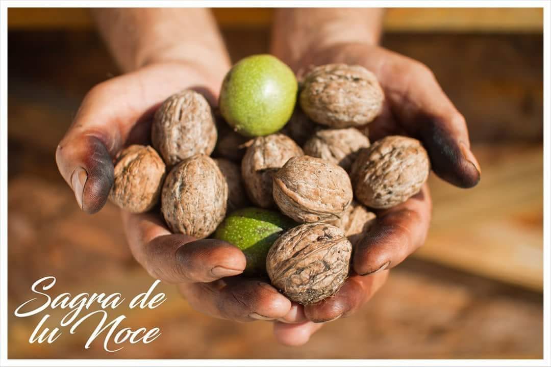 Sagra de lu Noce a Nociglia